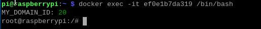 image-20240202141326460
