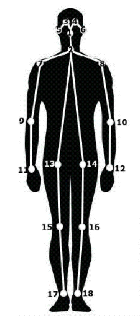 image-20231017172011228