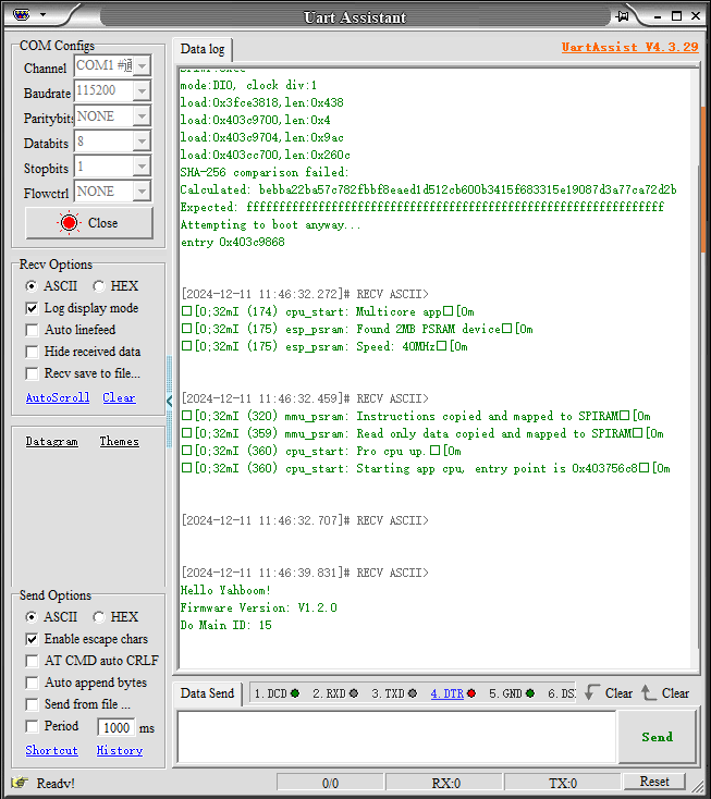image-20241211114856567