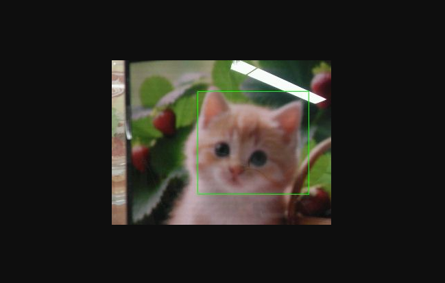 image-20241226183403567