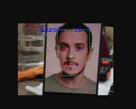 image-20241226190704172