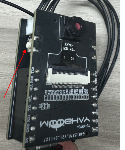 image-20241230115326736