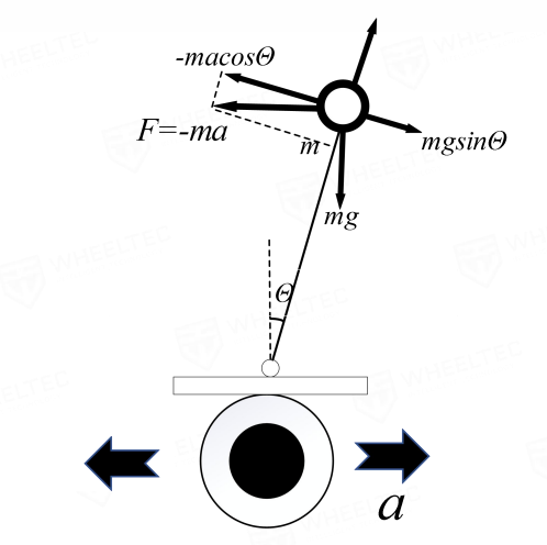 image-20240812181107286