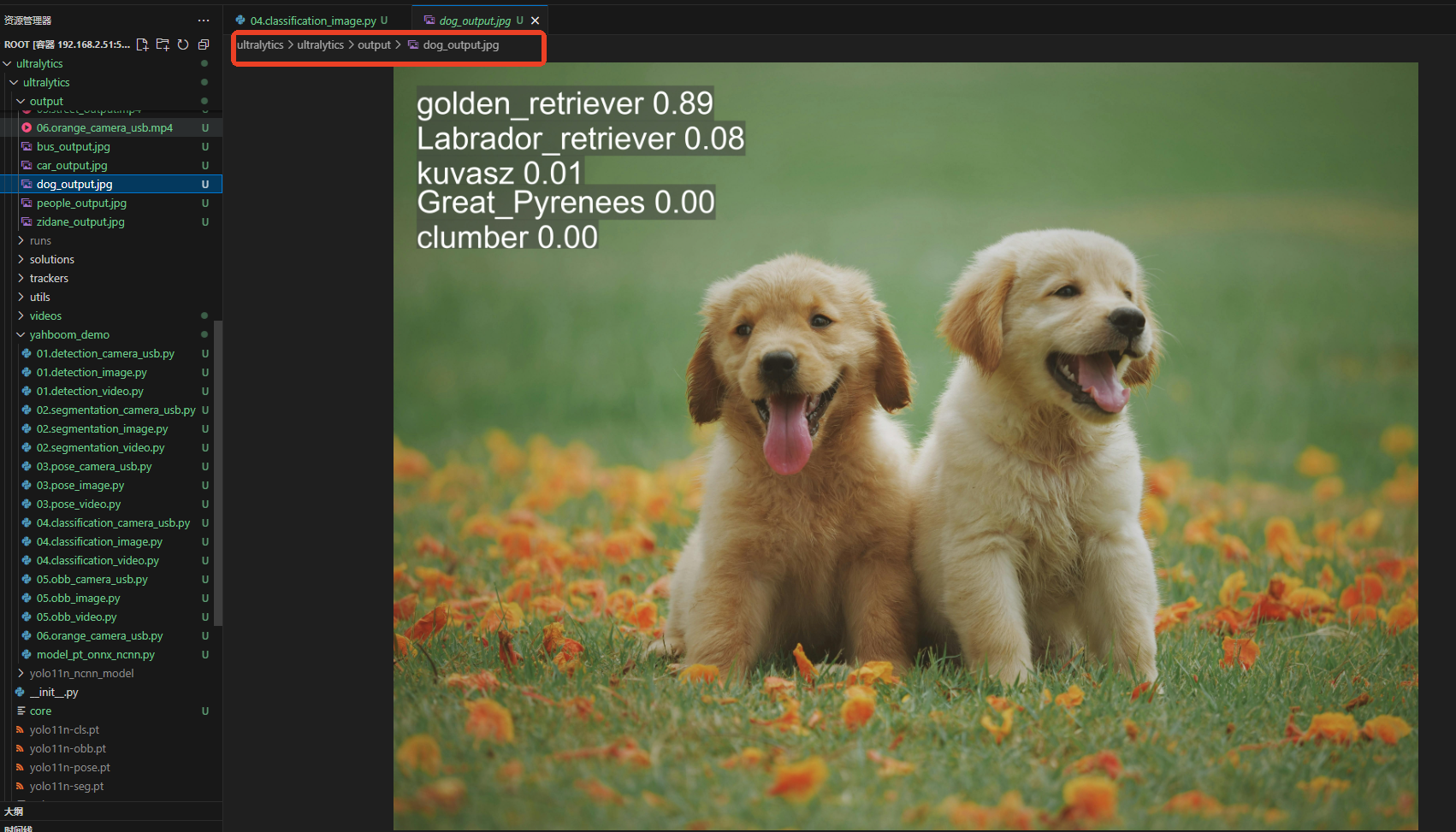 image-20250815114821911