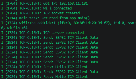 Client Serial Output