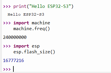 REPL interaction result